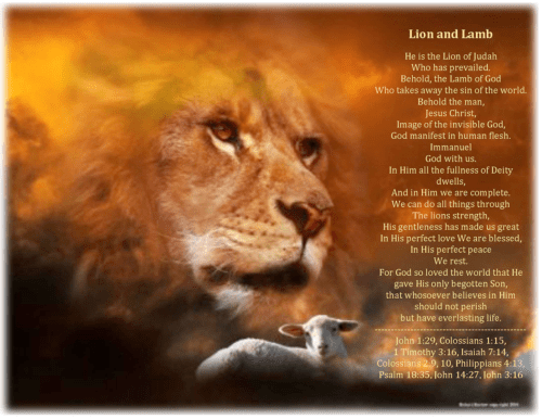 lionandlamb03